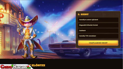 Lizaro Kaszinó VIP program